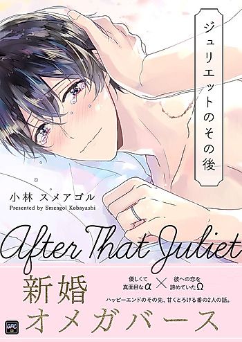 Cover image for After That Juliet