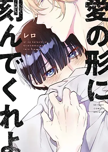 Cover image for Ai no Katachi ni Kizandekureyo