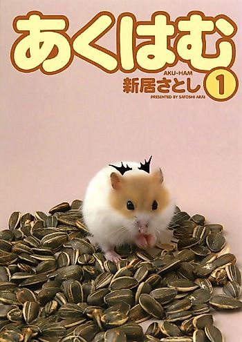 Cover image for Evil Hammy