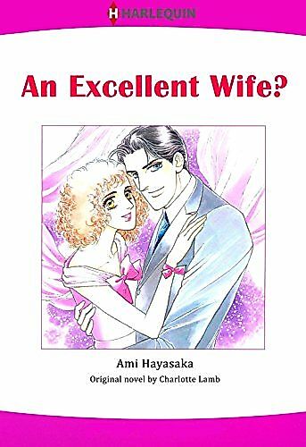 Cover image for An Excellent Wife?