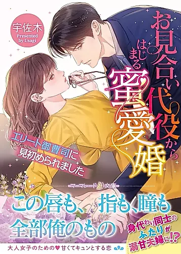 Cover image for An Elite Heir's Chosen Bride