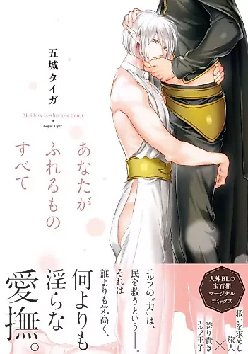 Cover image for Everything You Touch