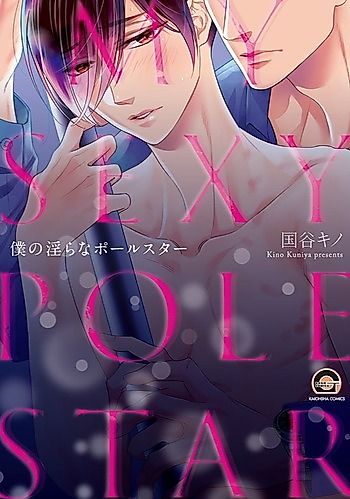 Cover image for Boku no Midara na Pole Star