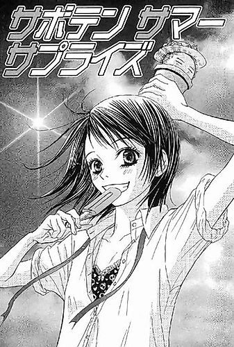 Cover image for Cactus Summer Surprise