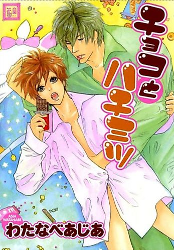 Cover image for Choco to Hachimitsu