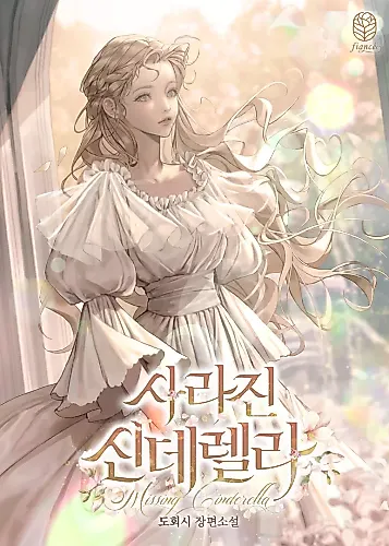 Cover image for Cinderella Disappeared