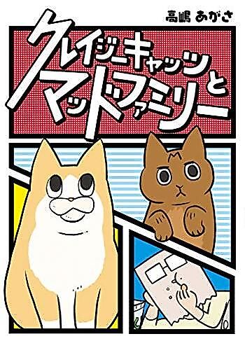 Cover image for Crazy Cats to Mad Family
