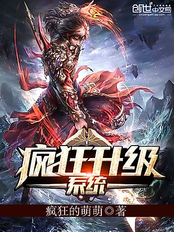 Cover image for Crazy Leveling System