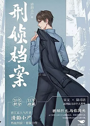 Cover image for Criminal Investigation Files