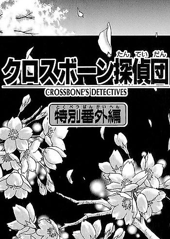 Cover image for Crossbone's Detectives: Special Side Story