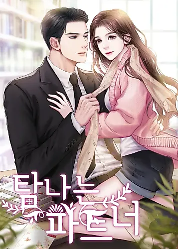 Cover image for Desirable Partner