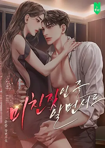 Cover image for Despite the Risk