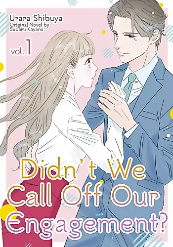 Cover image for Didn't We Call off Our Engagement?