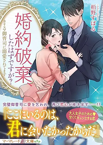 Cover image for Didn't We Call off Our Engagement?