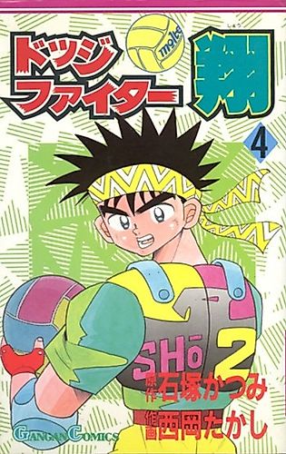 Cover image for Dodge Fighter Shou