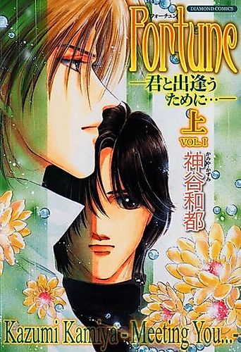 Cover image for Fortune - Meeting You