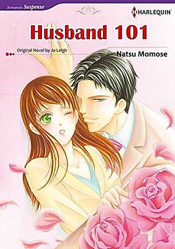 Cover image for Husband 101