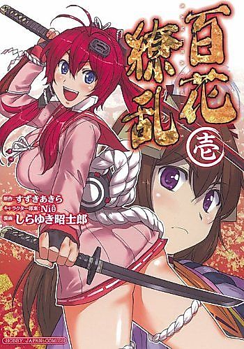 Cover image for Samurai Girls