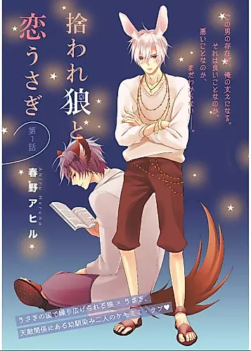 Cover image for Hiroware Ookami to Koi Usagi