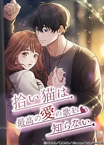 Cover image for The Stray Cat Who Doesn't Know the Greatest Love Song