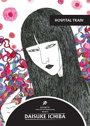 Cover image for Hospital Train