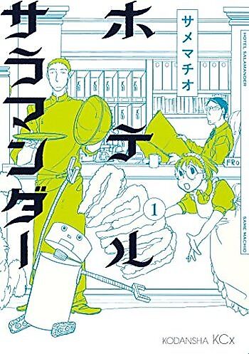 Cover image for Hotel Salamander