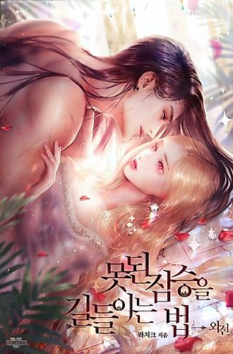 Cover image for How to Tame My Beastly Husband