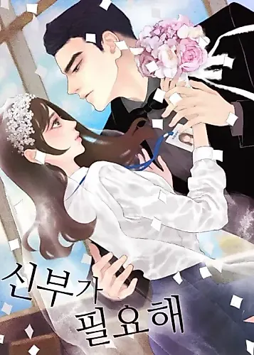 Cover image for I Need a Bride