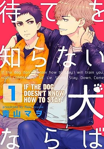 Cover image for If the Dog Doesn't Know How to Stay