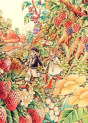 Cover image for Kurumi