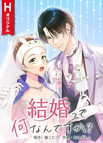 Cover image for Kekkon tte Naninan desu ka?