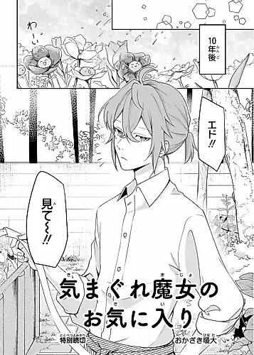 Cover image for Kimagure Majo no Okiniiri