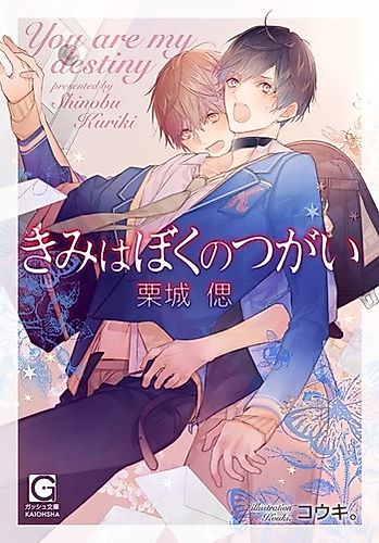 Cover image for You Are My Destiny