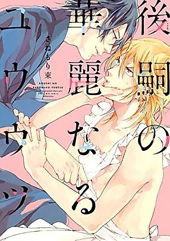 Cover image for Koushi no Kareinaru Yuutsu