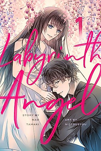 Cover image for Labyrinth Angel