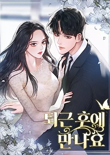 Cover image for Let's Meet After Work