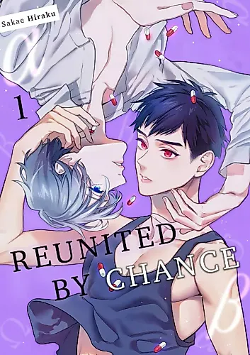 Cover image for Reunited By Chance