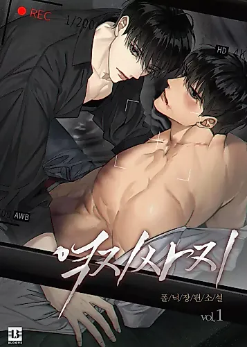 Cover image for Revenge