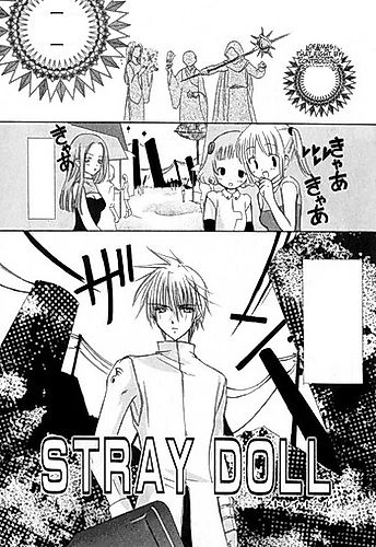 Cover image for Stray Doll