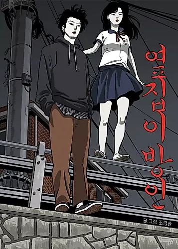 Cover image for Stranger Next Door