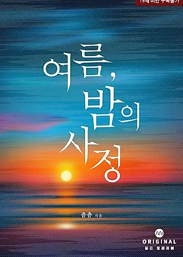 Cover image for Summer Night's Affairs