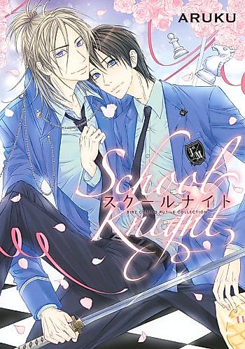 Cover image for School Knight