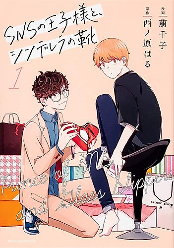 Cover image for Prince of SNS and Cinderella Shoes