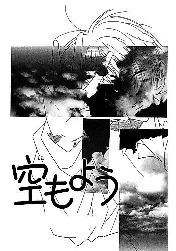 Cover image for Skyscape