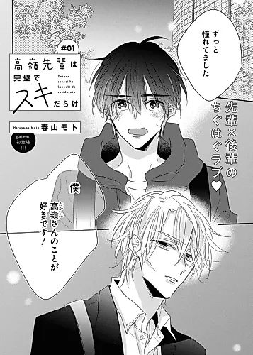 Cover image for Takane-senpai wa Kanpeki de Suki-darake