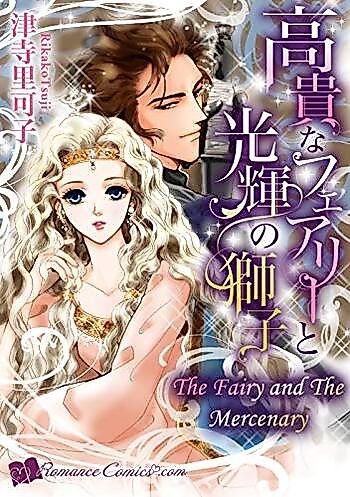 Cover image for The Fairy and the Mercenary
