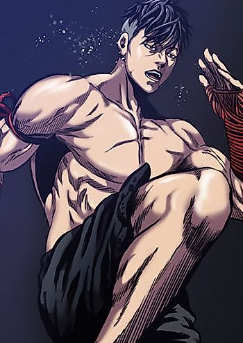 Cover image for Fighting Monster