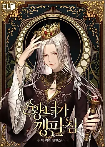 Cover image for The Princess Ruins Everything