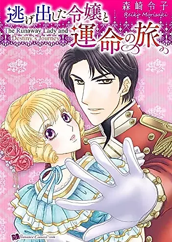 Cover image for The Runaway Lady and Destiny's Journey