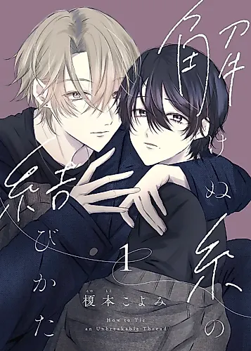 Cover image for Tokenu Ito no Musubikata